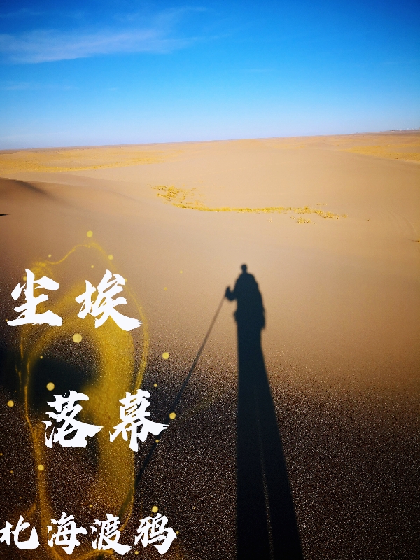 尘埃，落幕我他小说免费阅读