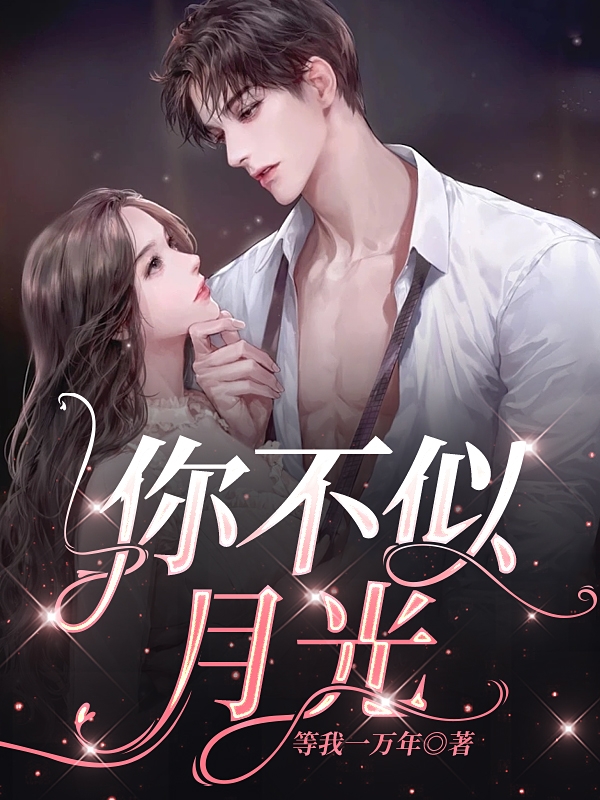 完整版《你不似月光》全文阅读
