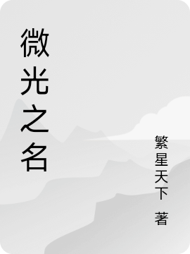 微光之名小说完整版全文免费阅读