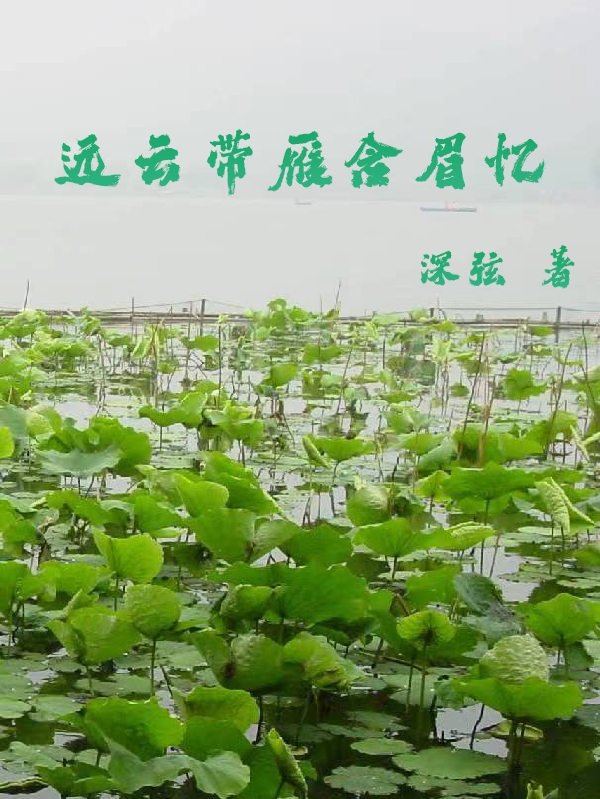 沈然周亦蕊小说在线全文免费阅读（远云带雁含眉忆无弹窗无删减）-够力荐小说推荐网