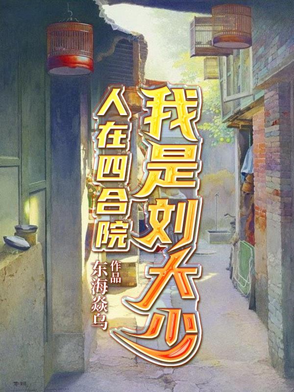 人在四合院，我是刘大少小说，人在四合院，我是刘大少刘光齐