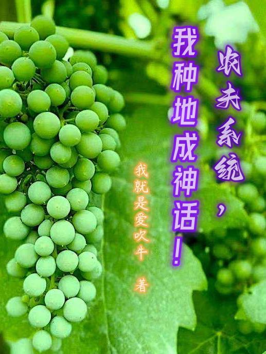 主角叫黄浩的小说在哪可以免费看，农夫系统，我种地成神话！全文免费阅读