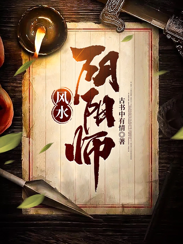 风水阴阳师免费阅读，风水阴阳师陆子风