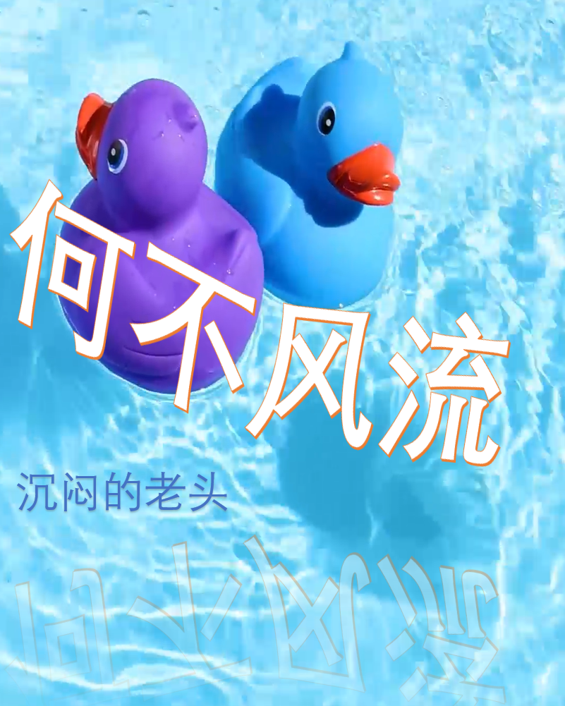 何不風流