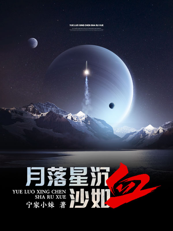 已完结小说月落星沉沙如血全文免费阅读