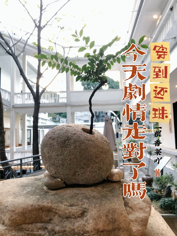 穿到還珠：今天劇情走對了嗎？