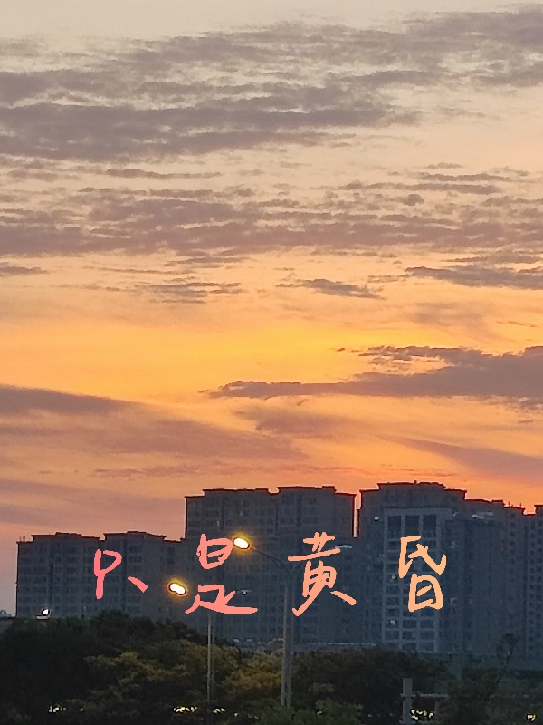 主角叫项绾向阳的小说最新章节阅读，只是黄昏全文免费阅读