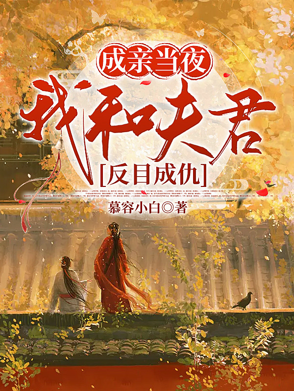 男女主人公叫魏宁白珩的小说免费资源