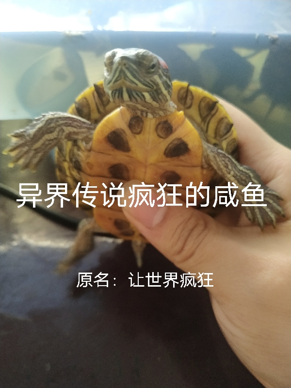 男女主人公叫罗子枫黑影的小说免费资源