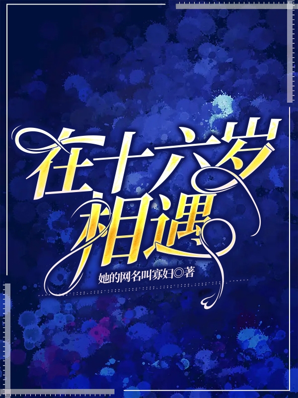 在十六岁相遇小说，在十六岁相遇夜笙-美文小说