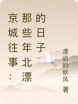 京城往事：那些年北漂的日子钟意柳漂飘小说免费阅读