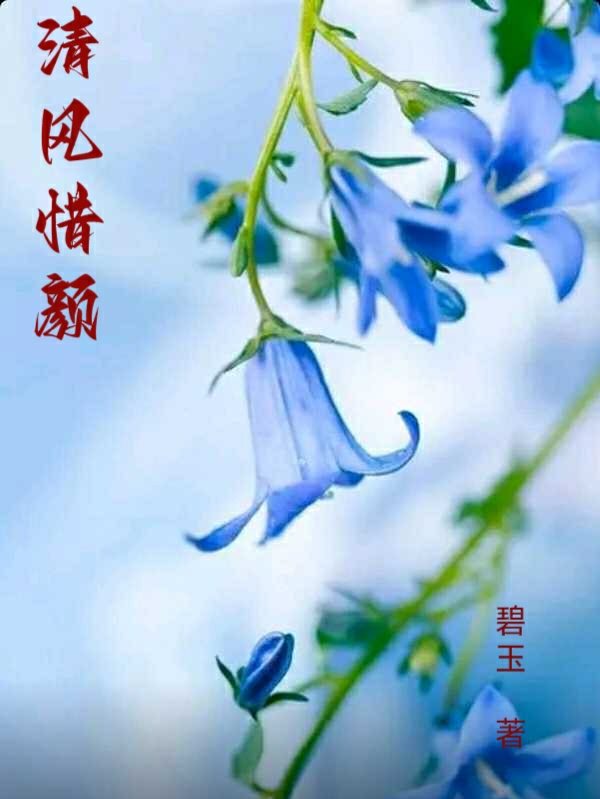 清风惜颜小说狄清风花惜颜全文免费阅读