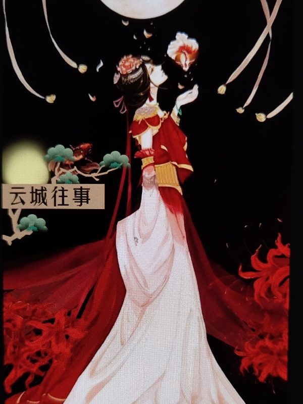 云城往事小说阅读，云城往事完整版