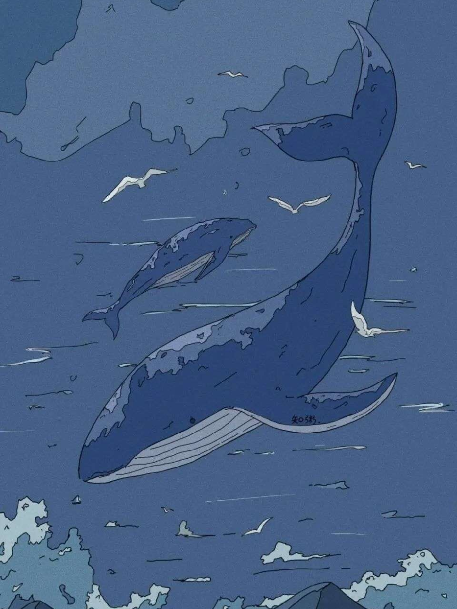 孤岛的鲸
