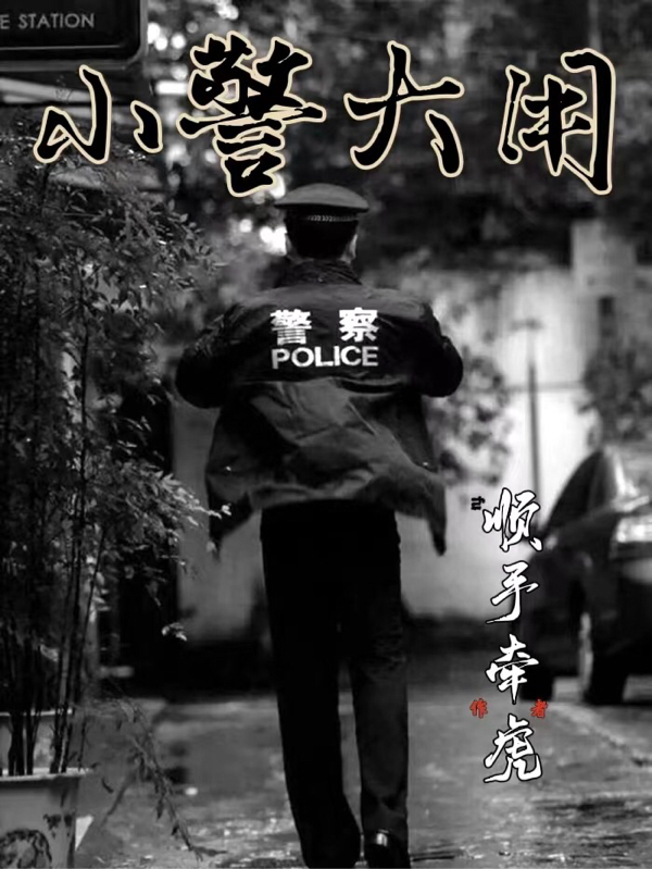 主角叫杜大用的小说小警大用免费看