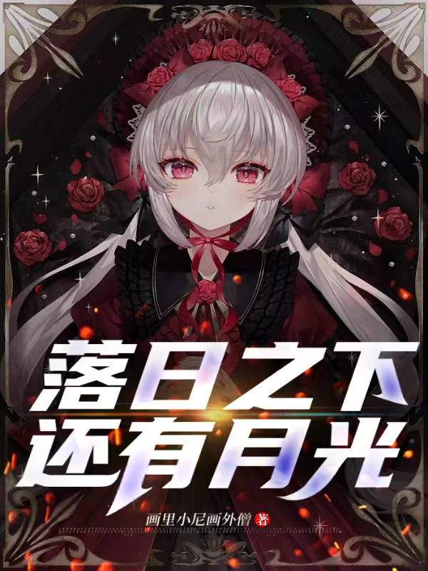 落日之下还有月光小说，落日之下还有月光免费阅读