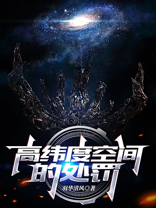 高纬度空间的处罚小说阅读，高纬度空间的处罚完整版