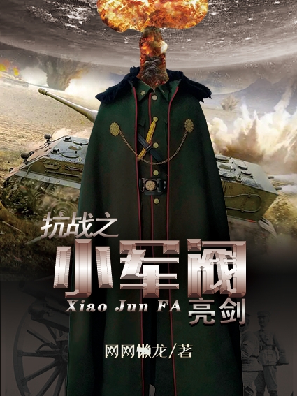抗战之小军阀亮剑全文免费阅读，张羽小说最新章节阅读