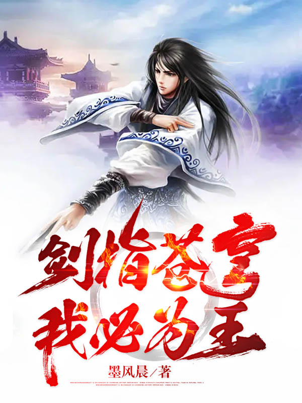 求剑指苍穹我必为王小说免费资源