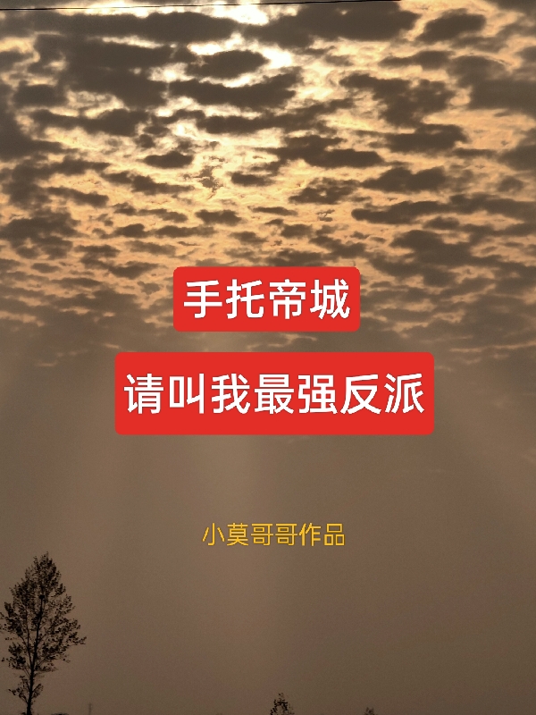 已完结小说《手托帝城，请叫我最强反派！》最新章节