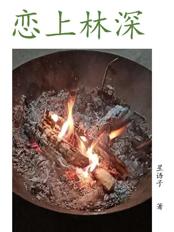 恋上林深免费阅读，恋上林深蔡小小林深