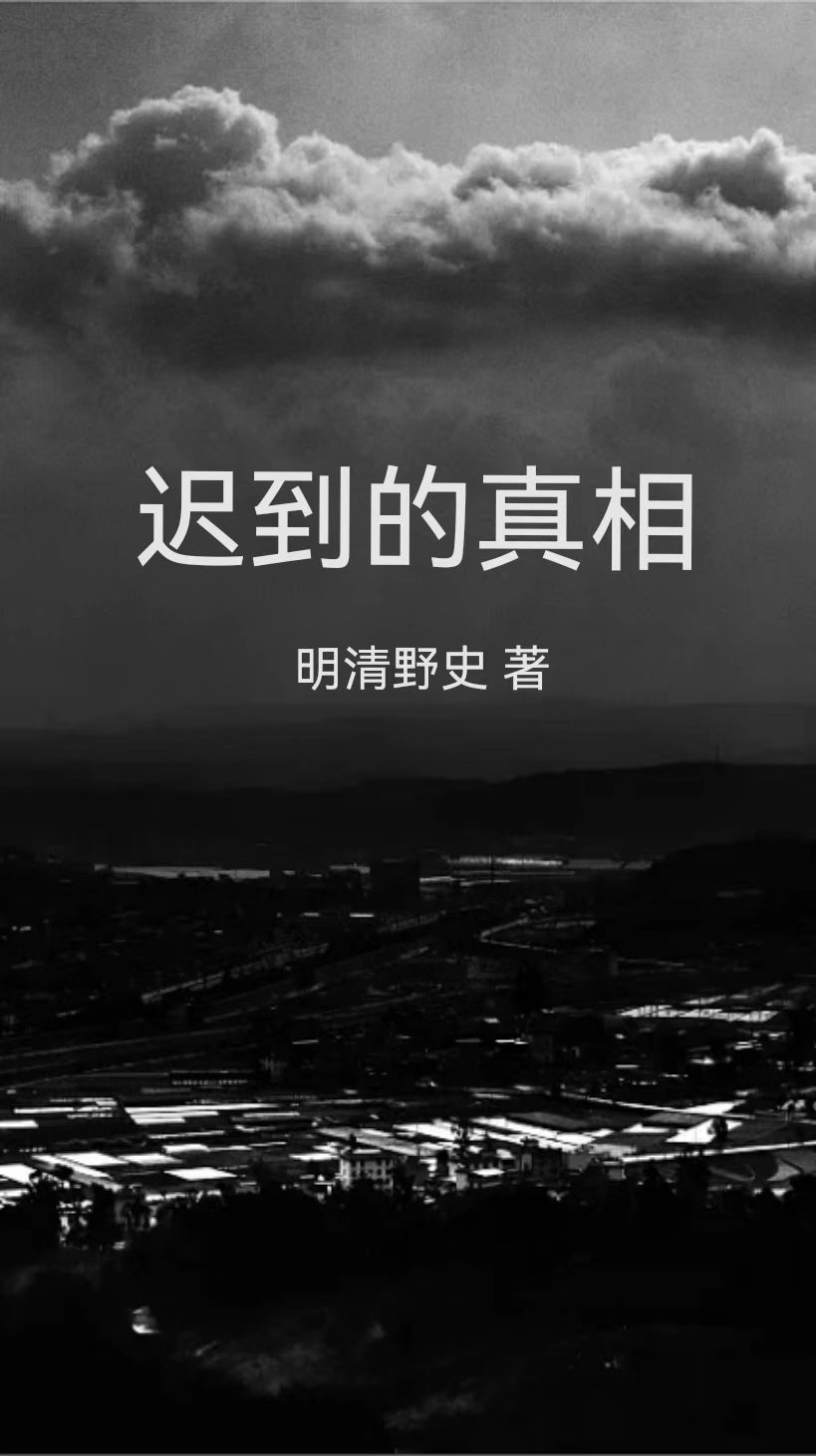 迟到的真相小说免费阅读，王兵鲁刚小说免费全文