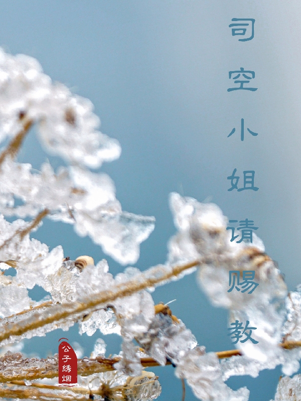 求司空小姐请赐教小说免费资源