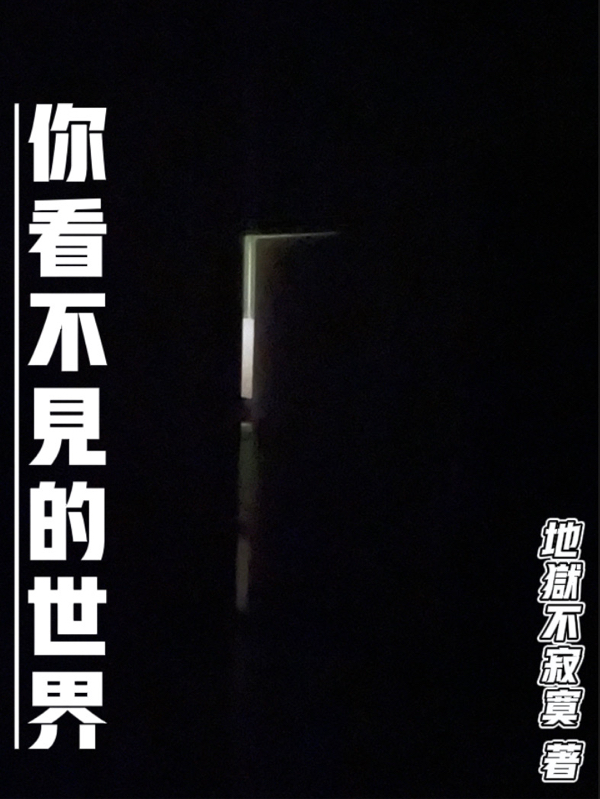 小说《你看不见的世界》全文免费阅读
