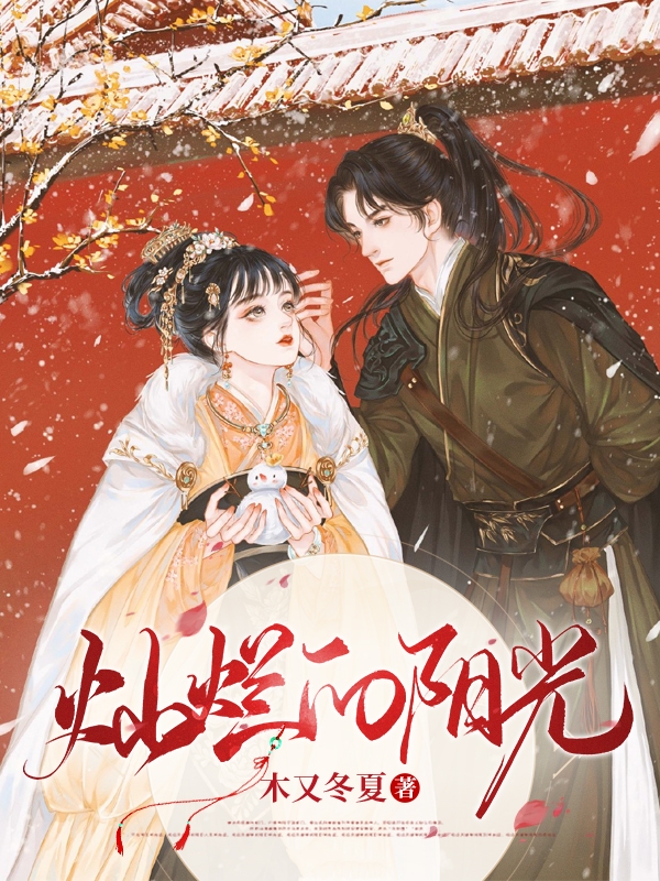 完整版灿烂的阳光小说免费阅读