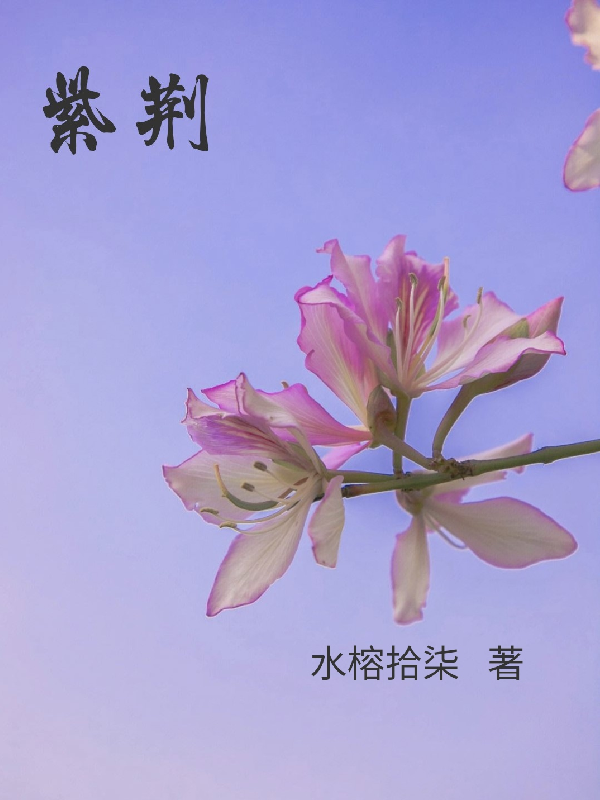 紫荆树花