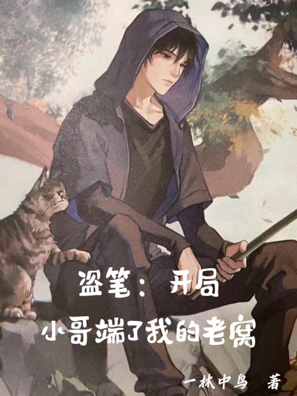 盗笔：开局小哥端了我的老窝小说，盗笔：开局小哥端了我的老窝全文在线阅读