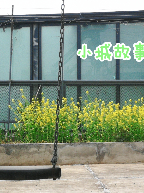 小城身边故事二美张兴旺免费阅读
