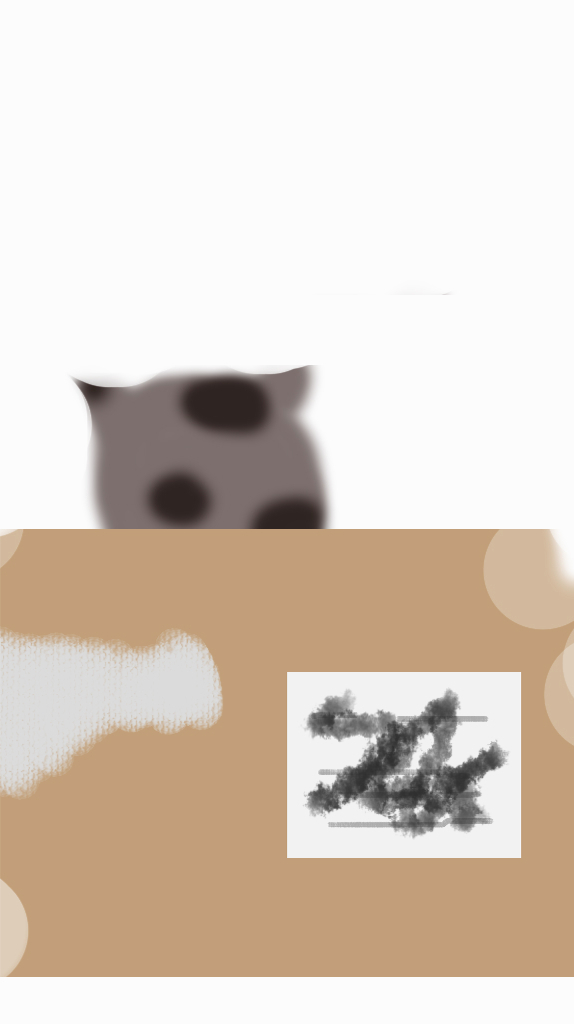 猫的纸盒子