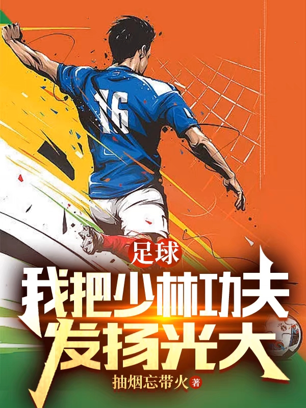 足球：我把少林功夫发扬光大小说，足球：我把少林功夫发扬光大叶晨