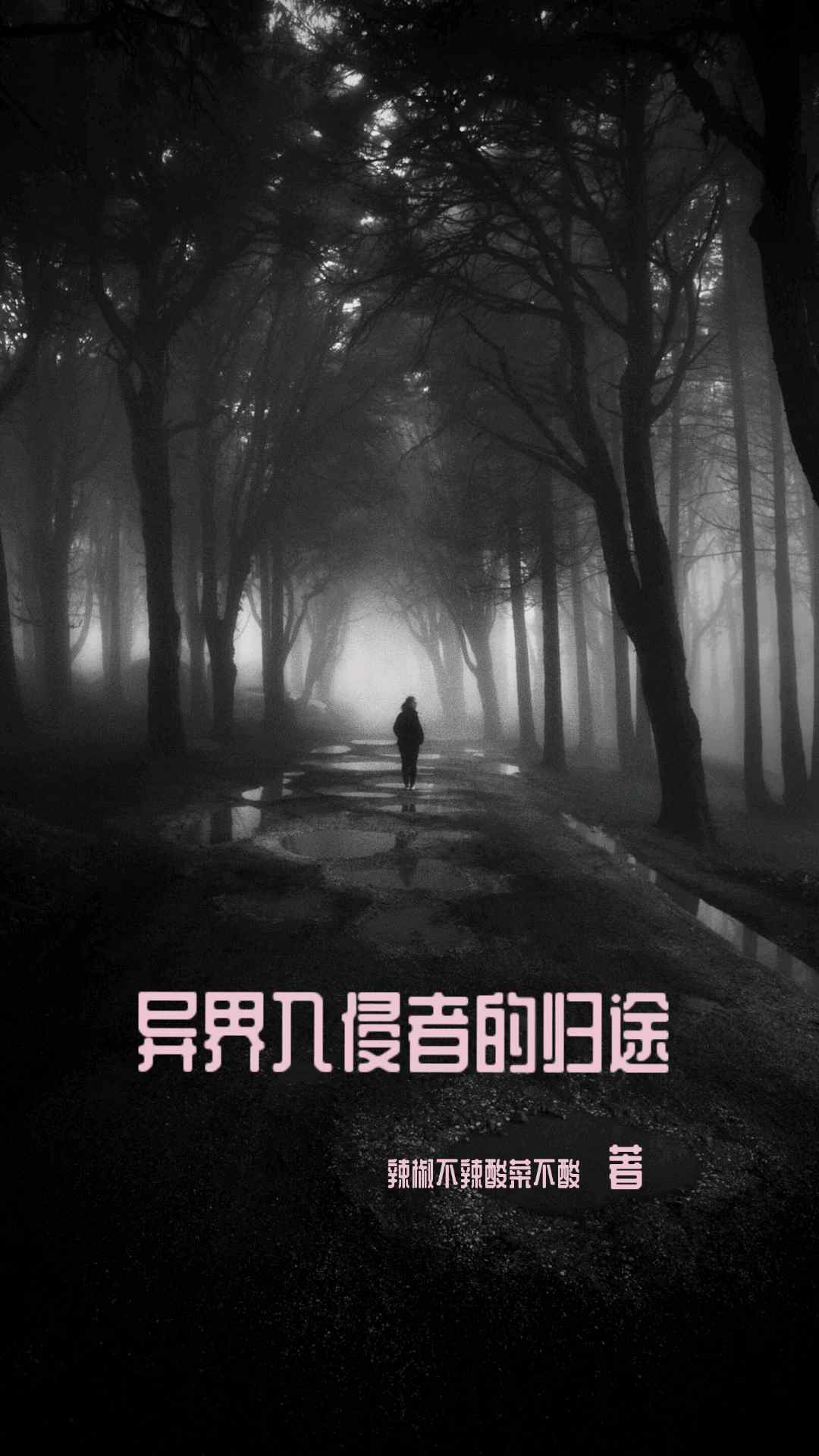 異界入侵者的歸途