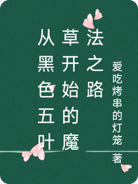 男女主人公修尔小说从黑色五叶草开始的魔法之路全文免费阅读