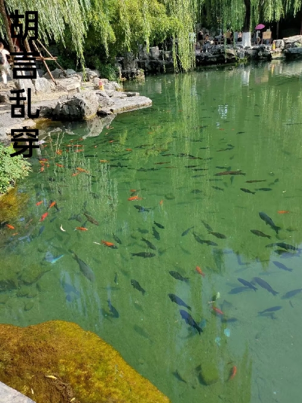 《乱穿胡言》小说章节列表免费试读，黎荣枝小说在线阅读