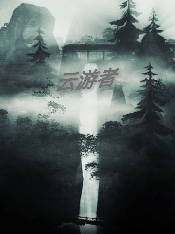 云游者苏哲，云游者小说免费阅读