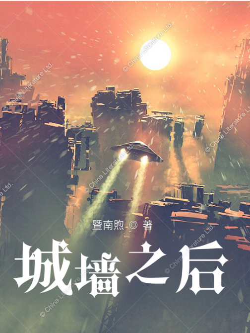 城墙之后小说阅读，城墙之后完整版-美文小说