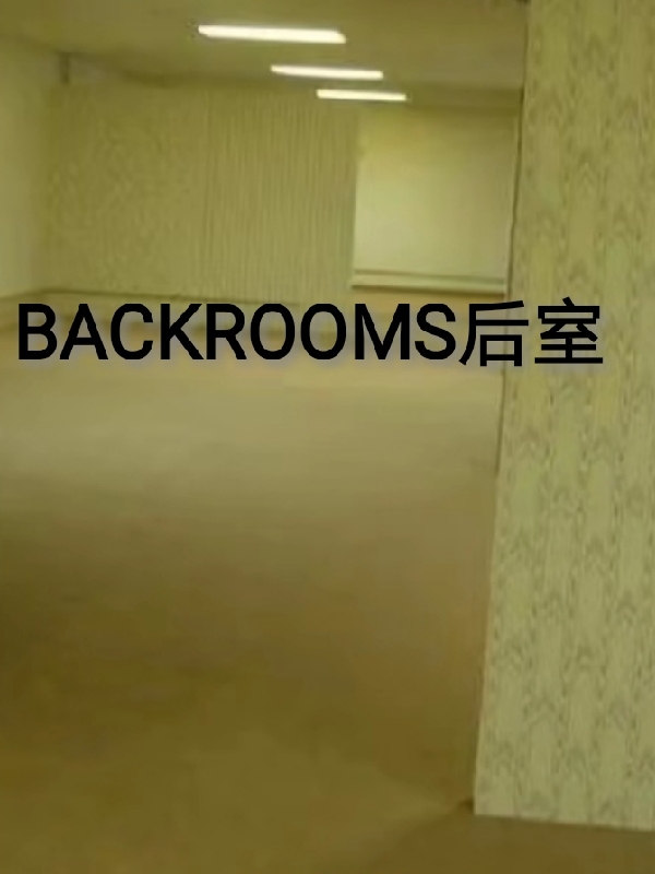 BACKROOMS后室