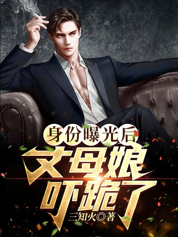 身份曝光后，丈母娘吓跪了叶天黄雨纯在线全文免费阅读