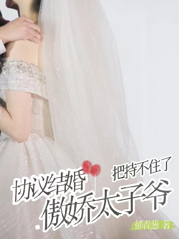 协议结婚：傲娇太子爷把持不住了全文免费阅读，林念葱商银川小说最新章节阅读