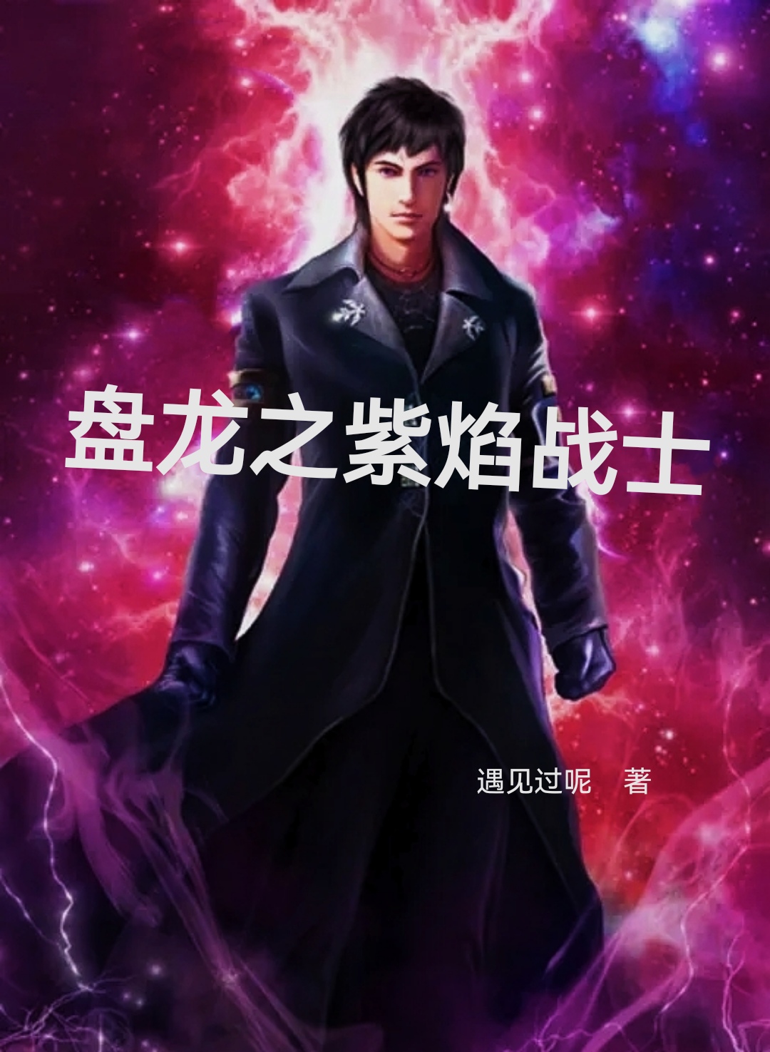 主角特雷&海德小说盘龙之紫焰战士免费阅读-美文小说