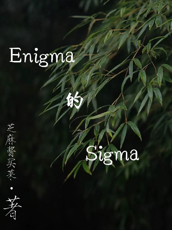 Enigma的Sigma