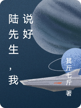 陆先生，我说好小说陆宸谦锦宁全文免费阅读