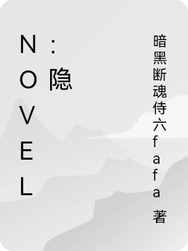 novel：隐