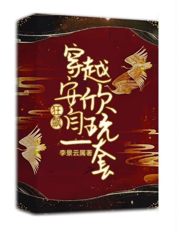 求狂飙：穿越安欣，自玩一套小说免费资源-够力荐小说推荐网