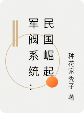 求军阀系统：民国崛起小说免费资源