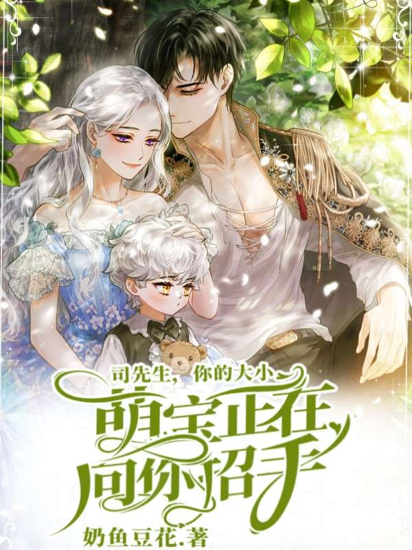 司先生，你的大小萌宝正向你招手小说完整版全文免费阅读-够力荐小说推荐网