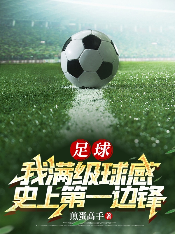 足球：我满级球感，史上第一边锋免费阅读，方阳完整版阅读